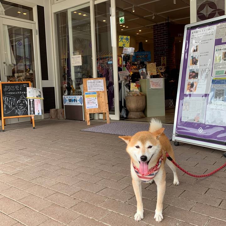 9849aa39 9afc 41ea 9465 2a6c91909955 1595923933507