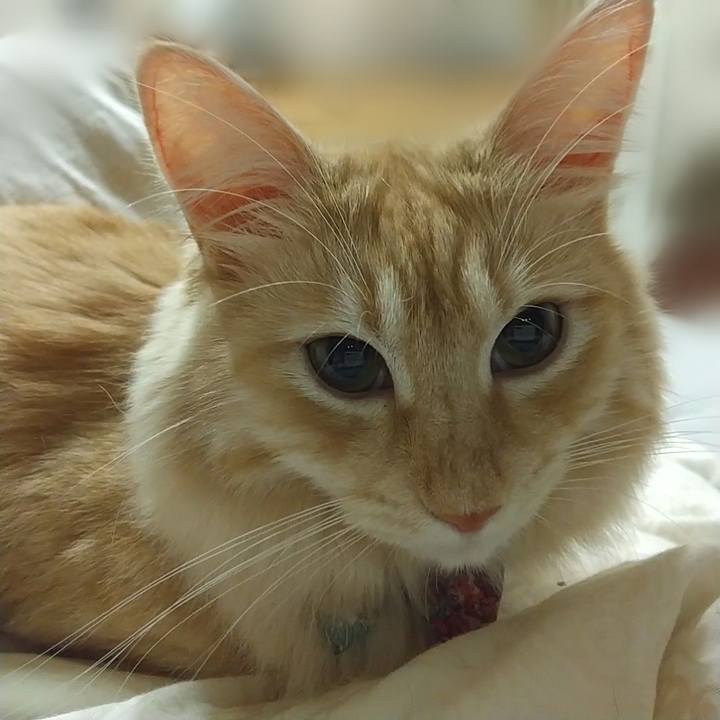 9849edbe 7da5 4c33 9fba 309dc9aa3237 1633092877401