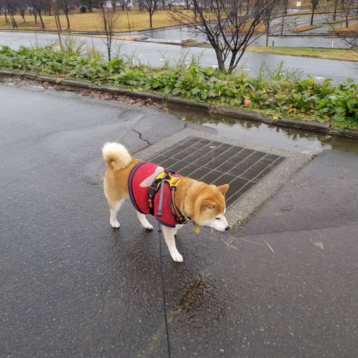 984a027b 870b 40c5 a57d 8f321def3fb7 1607834987656