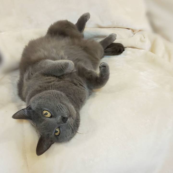 984a201f 51de 44e6 8426 4bdd75dab456 1764591555301