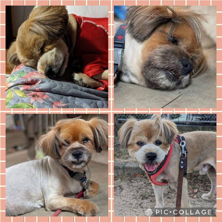 984a2167 29ae 458f b3e2 affd7f9199ef 1692526927271