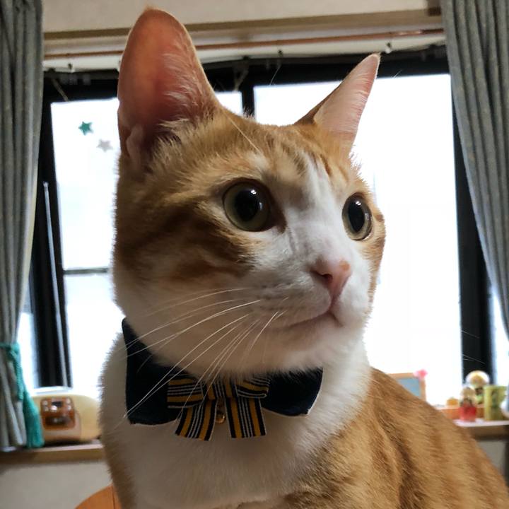 984a3540 afa7 4efd 9cab 41497450c339 1535759026944