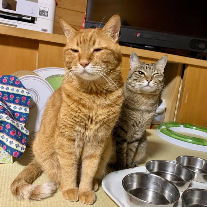 984a69c6 e3dd 4f90 9727 baeed19e82f7 1602940455459