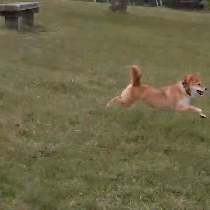 984abed3 aa6e 4b87 84a3 a9fe8ddb97e4 1763441032955