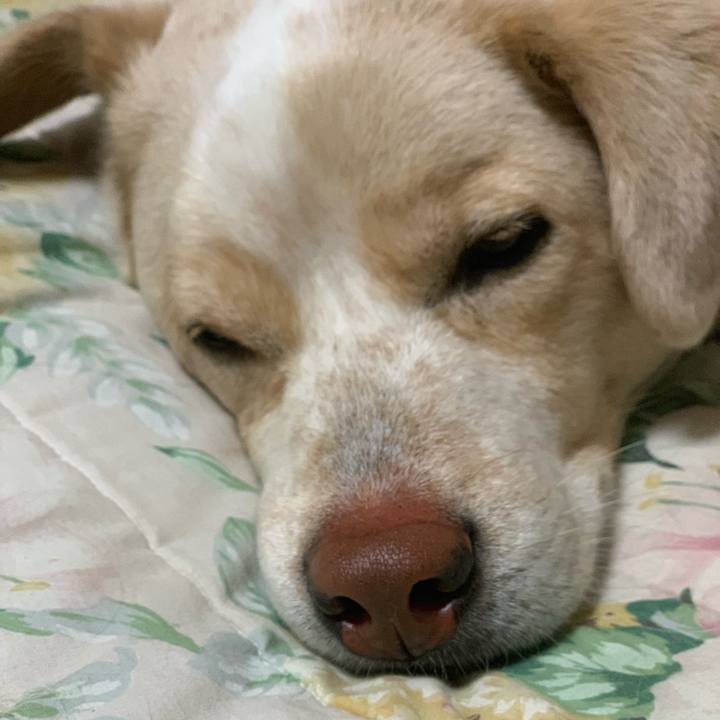 984b0316 c957 4c01 b1c0 4e4456546ed6 1555769251353