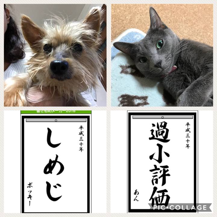 984b10dc acaa 4803 9bbe 994bf95dfd25 1514949455205