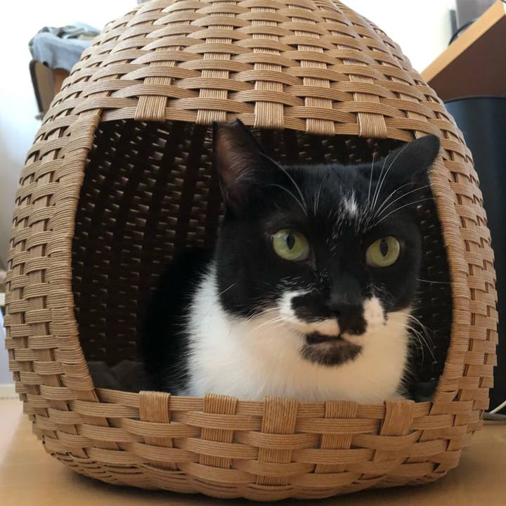 984b24df 0397 4b27 ad48 feaa8f0f5b35 1632516529473