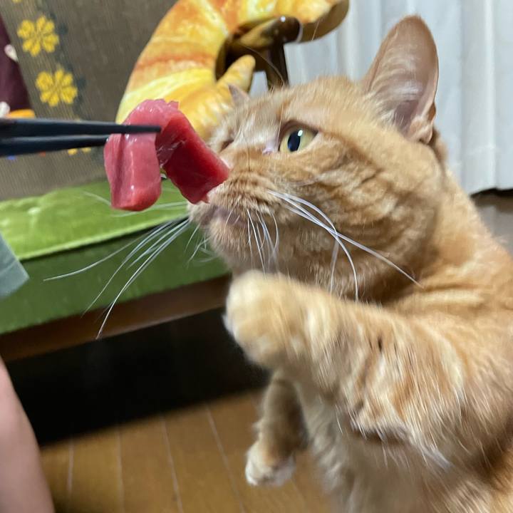 984b4759 7f66 407f 9bb7 2b7acb717593 1648379776645