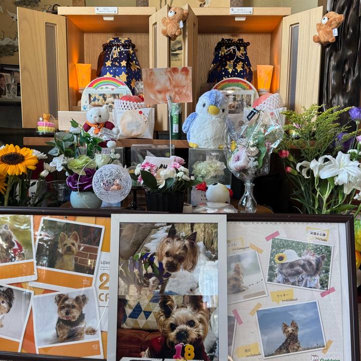 984b48d3 4889 4b22 b281 bd2d825eedb9 1755077853387