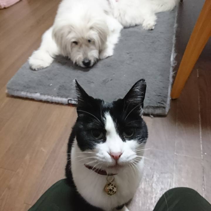 984b658d f638 4282 98ca b6269d564d25 1607673787764