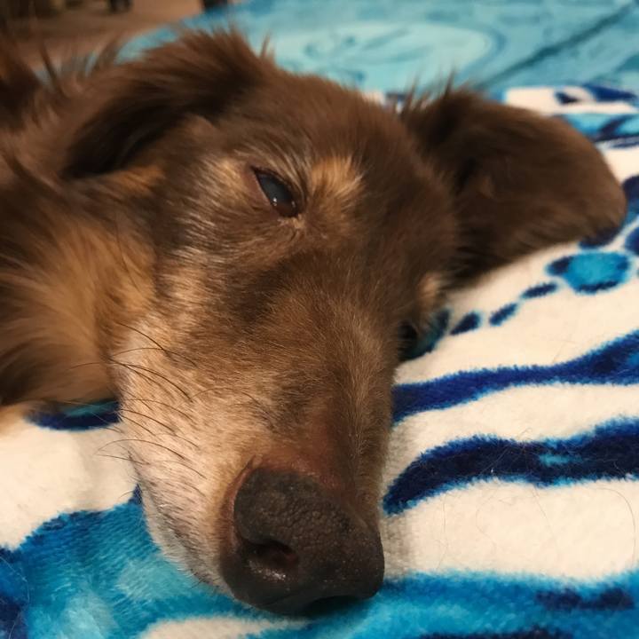 984b6f78 b815 485f bc62 ff6cf66ff22c 1525611478347