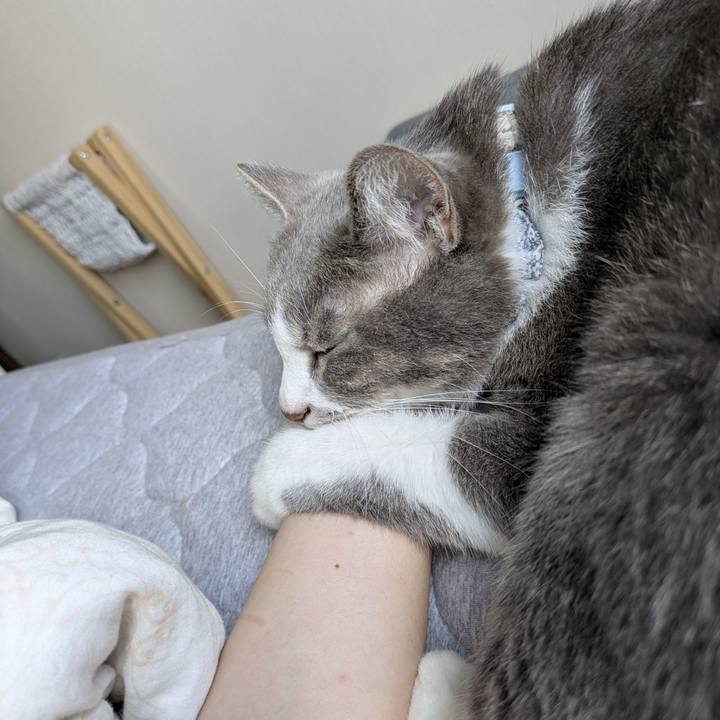 984b9a42 cdbc 4a5f 8f65 cd4afc325e62 1756690762227