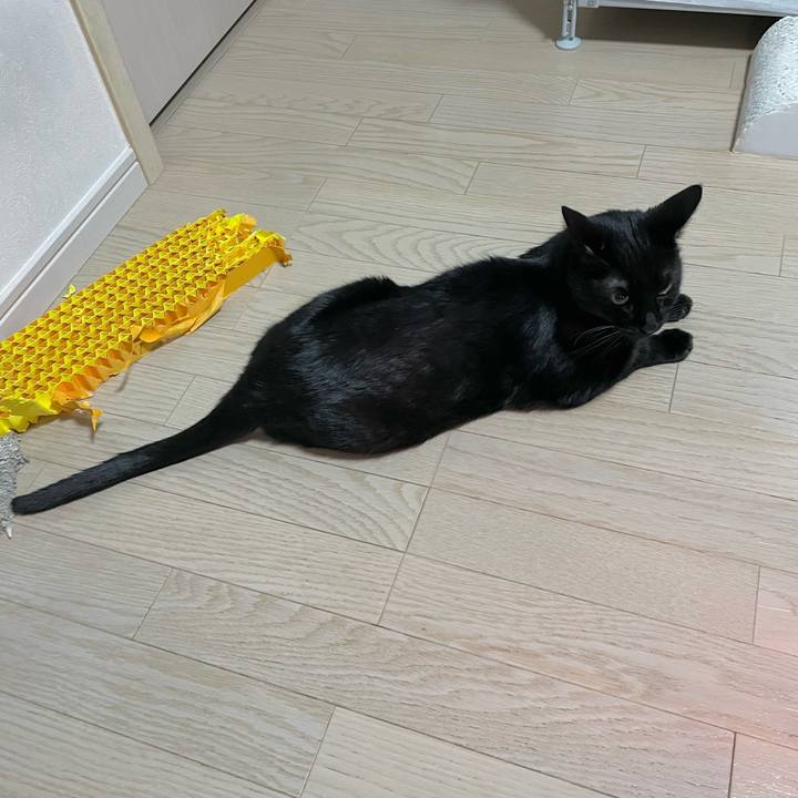 984bdb9a 4088 46c3 9b69 4b0b3110a708 1741521422517