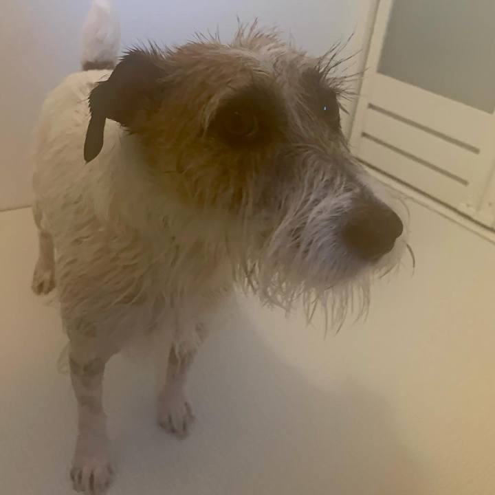 984bfb02 58af 4ed6 83f5 7bb141c56b6b 1672311981665