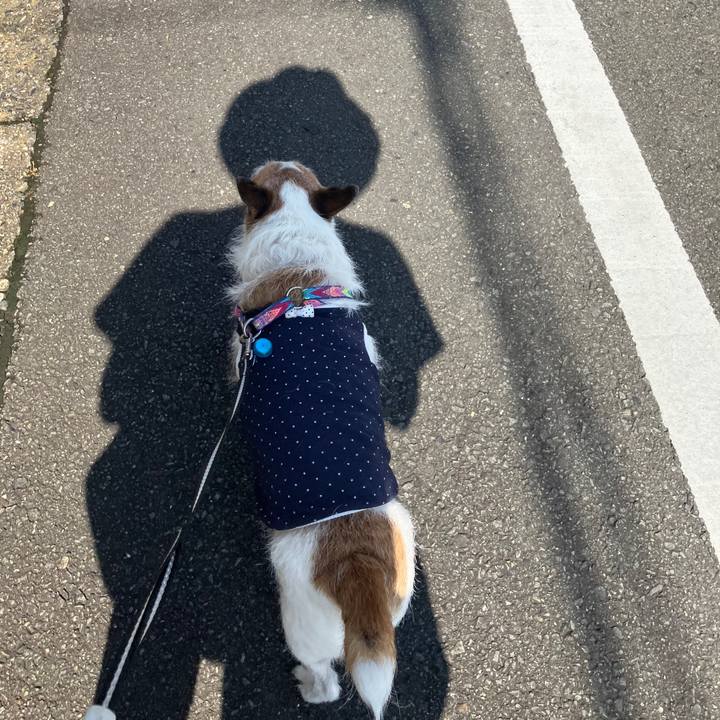 984bfbfd 1a14 4819 b9e5 f939c070468f 1722209117364