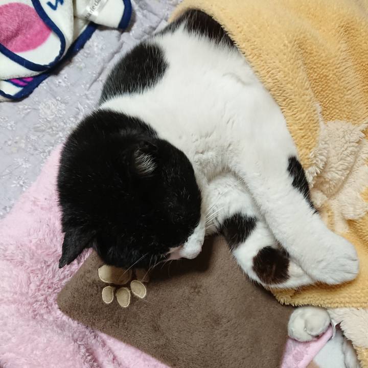 984c0c76 6cfa 4c2f aaf6 79d8f30aaa8e 1641905528587