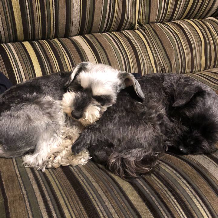 984c4485 d285 48b6 9969 027d13bcedee 1523280020466