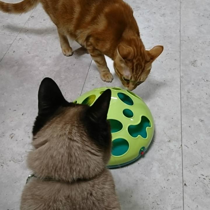 984c49a2 3d70 440c 8be8 4127edf06e64 1521456888368