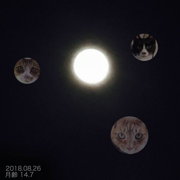 984c56cd 78fe 421f a0b7 cc8b5e41e9b4 1535293187481