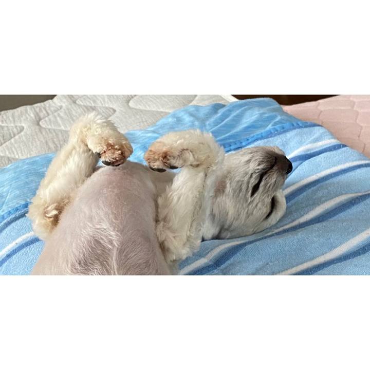 984c6416 c2ce 468d a767 8706340568b9 1627902947789