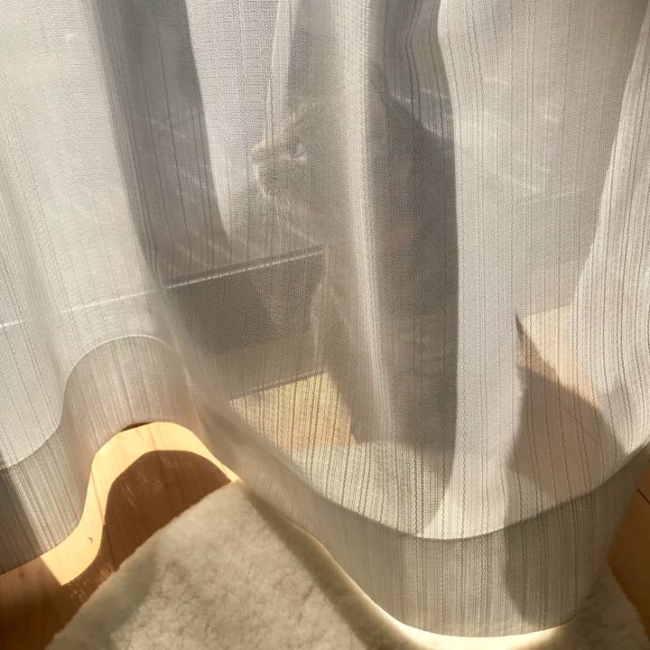 984c9c8d 9a5b 4215 96c7 b014a8bdde4f 1613022766118