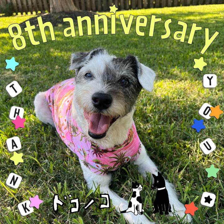 984ca341 5c2d 4449 96d3 01b85fa600cb 1717797398778