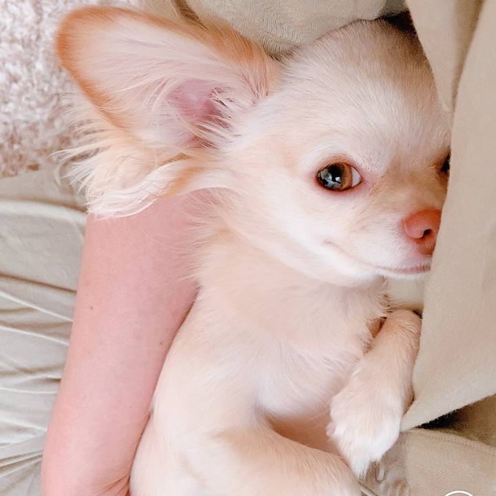 984cd1d1 5437 4084 8fd0 cb0c7a4241a7 1625489682572