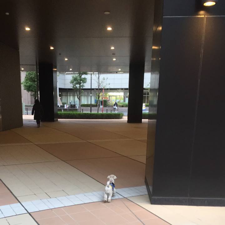 984cdcbd 0bea 410c 9e87 3ddfbf3da68f 1512128212980