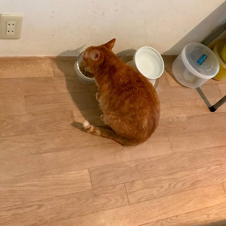 984ce80d d13d 40ac 97c2 830241b6bb30 1529636445278