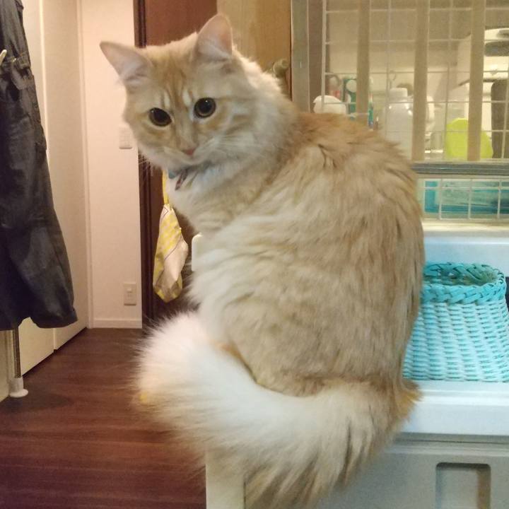 984cea79 e599 4216 9d59 1d37b14db71a 1639580505710