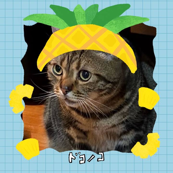 984d0648 aec4 4dd8 be1d f9aac0b321ad 1784022379764