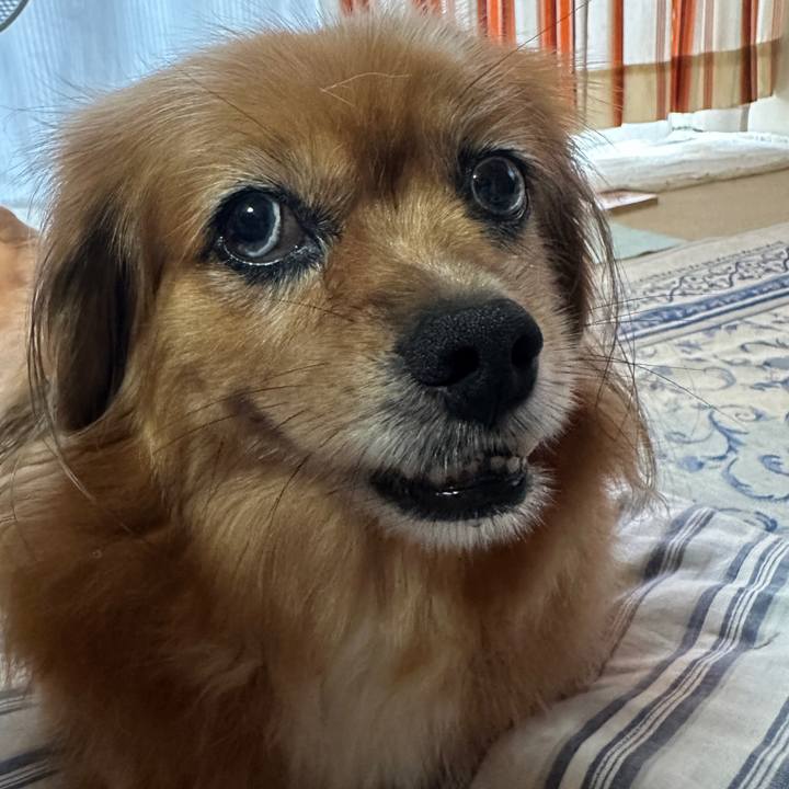 984d1e05 20d8 4813 ab37 e2d58e2894c7 1725310774116