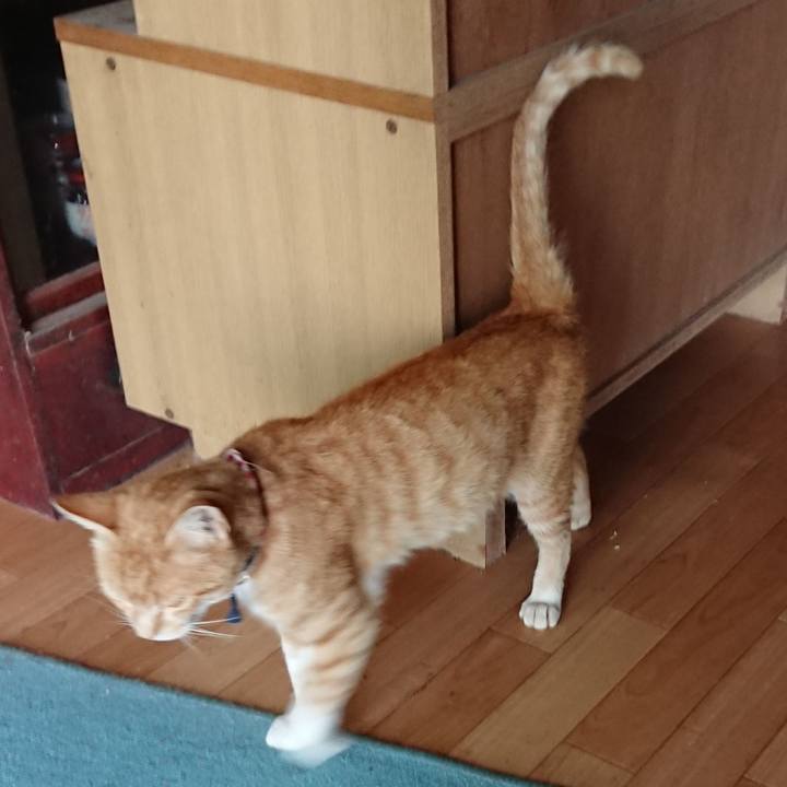 984d2482 981d 48fe bc28 d218dd201b89 1561455139061