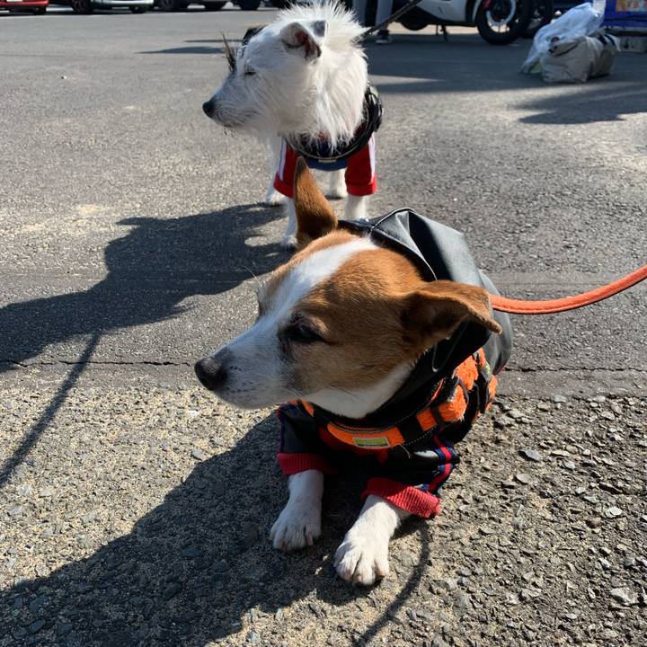 984d99a3 f0e9 4e01 81ce c783f30e8f7e 1644631426985