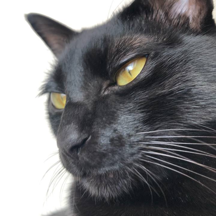 984daf0f e18c 478d a15c eed446b21bdd 1546227757928