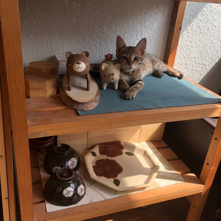 984daf1c 71fa 4013 9dc5 43390d7f932d 1577582434755