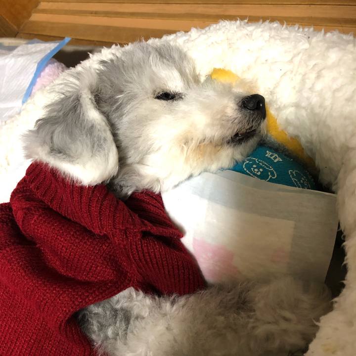 984dc106 4145 4e2b a4ec 469002fe2f6b 1669679217271