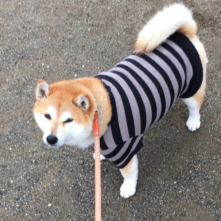 984e18ba 834a 4c60 931f 80ec45682759 1577674729982