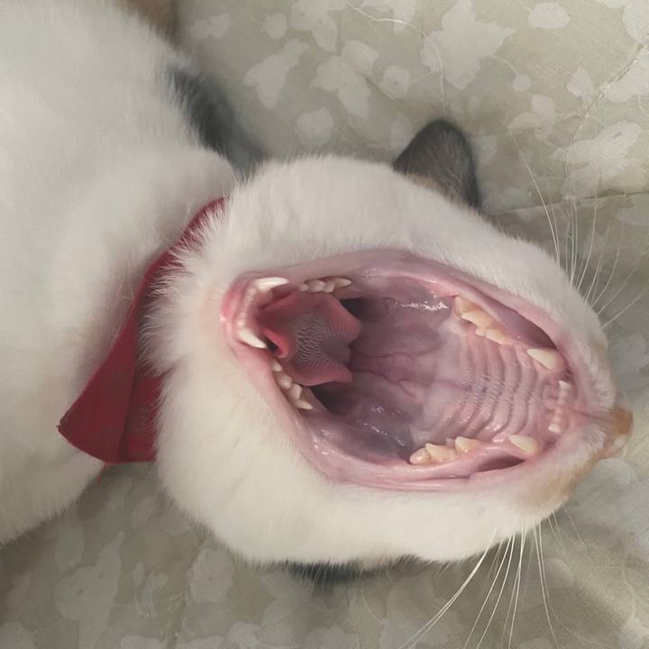 984e483e 9edf 4a36 aa39 d94baa1f4f45 1716975209142