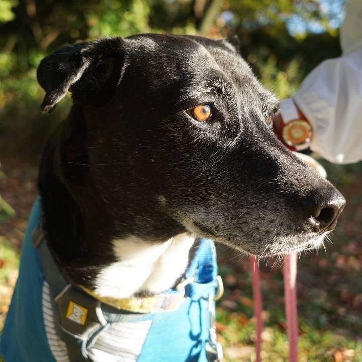 984e8f81 b4e0 414c a1cd 41cc445a779c 1763336770177