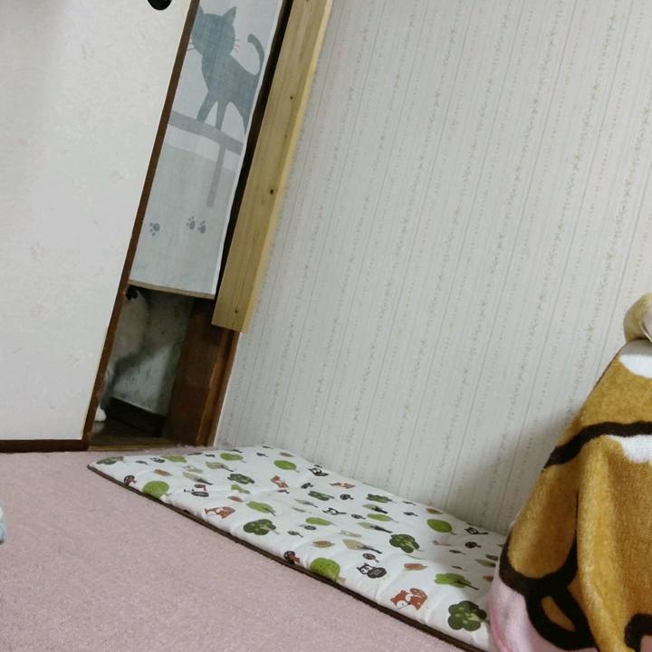 984e91db e848 4fac 8e1d 969c6c3b881e 1618050484130