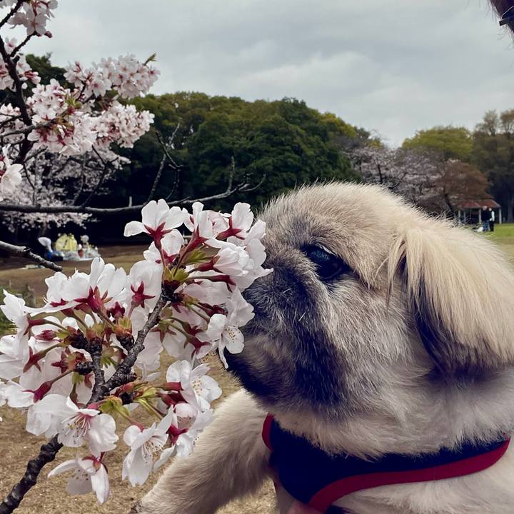 984ea08b f8c5 4aa1 8521 0919f6b0c54e 1774831697157