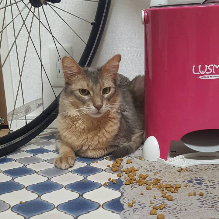 984ea390 e8bc 47d2 8ea8 ae8372569ea5 1529061533055