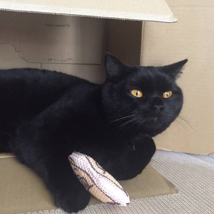 984ea997 9804 4e9d ad5a 55d8d0753379 1522916945077