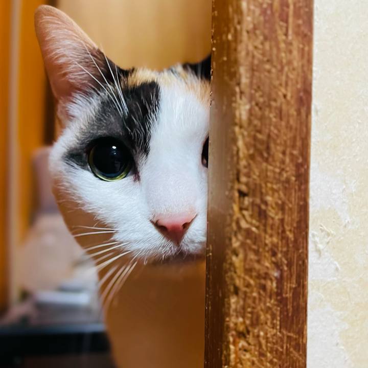 984eb333 a25e 4177 9d81 bf7d4f426f64 1642902652428