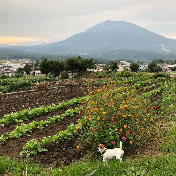 984ebc84 5bee 441b 9b4e 9158902f9bd7 1537777981843