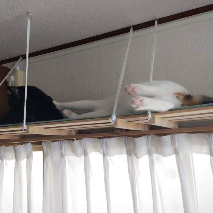 984ebe26 651f 48d2 9093 37f3ce564c48 1672444680520