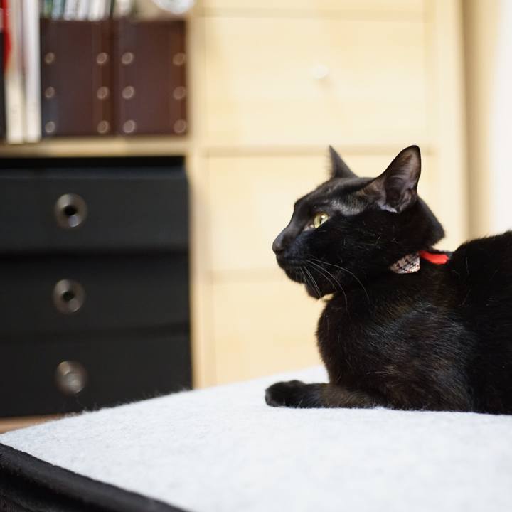 984ec8f1 ecb9 4608 8335 cc425579b1d9 1520432774166