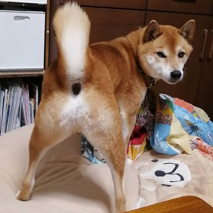 984ed766 7277 4e4d a5a5 d78e9cdc711b 1670083226623