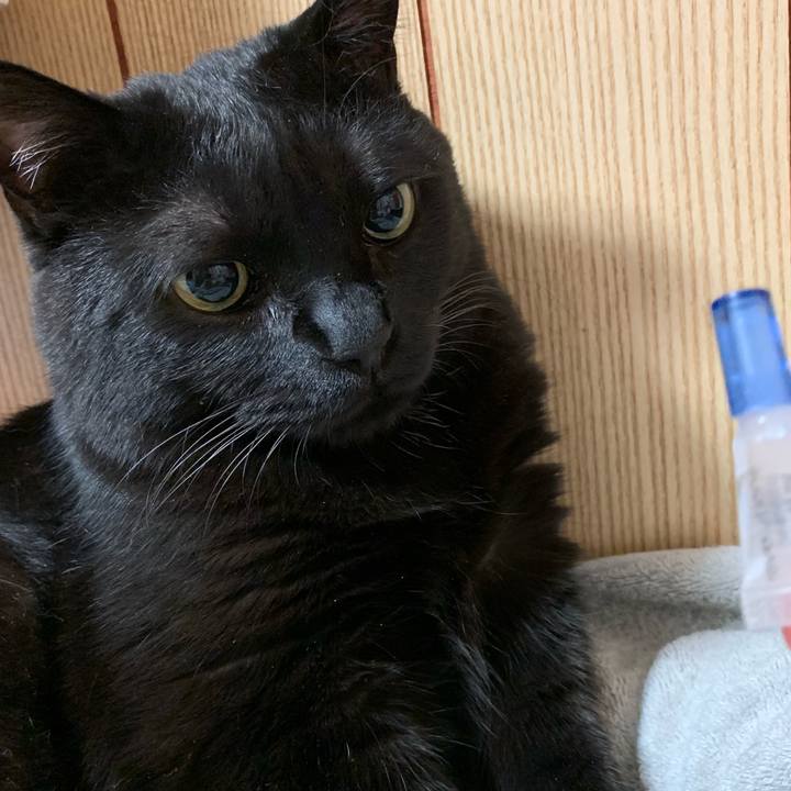 984f02fc 553d 4b41 941b 8e019e44f836 1559213444147